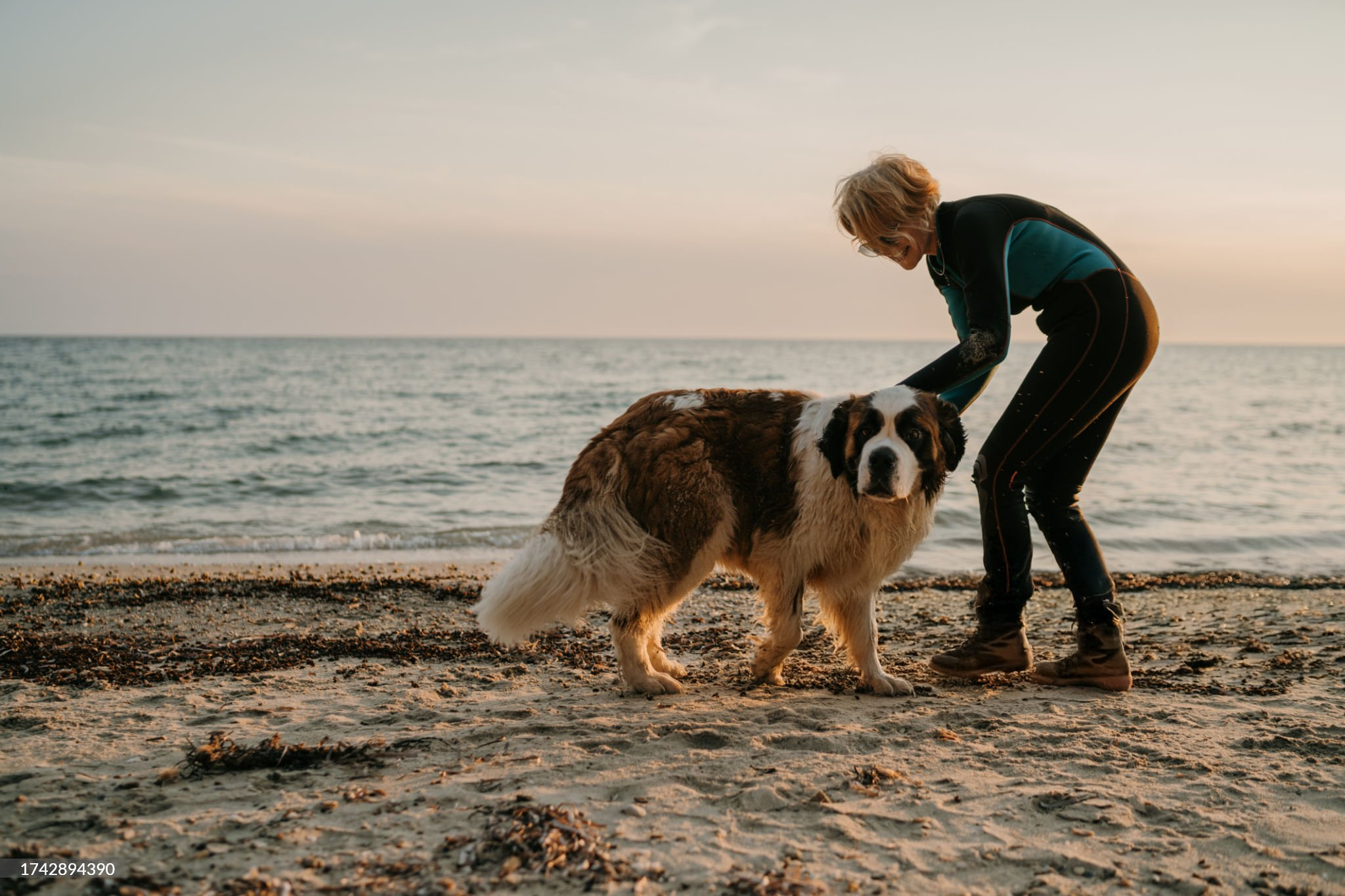 Woman enjoying time with her dog on a beach at sunset.